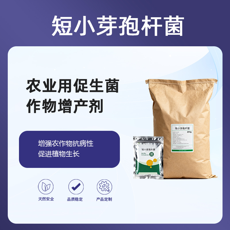 短小芽孢杆菌(Bacillus Pumilus) 生物肥料|农业用促生菌(PGPR)接种剂|作物增产剂|水稻大豆专用生物肥料|短小芽孢杆菌肥料