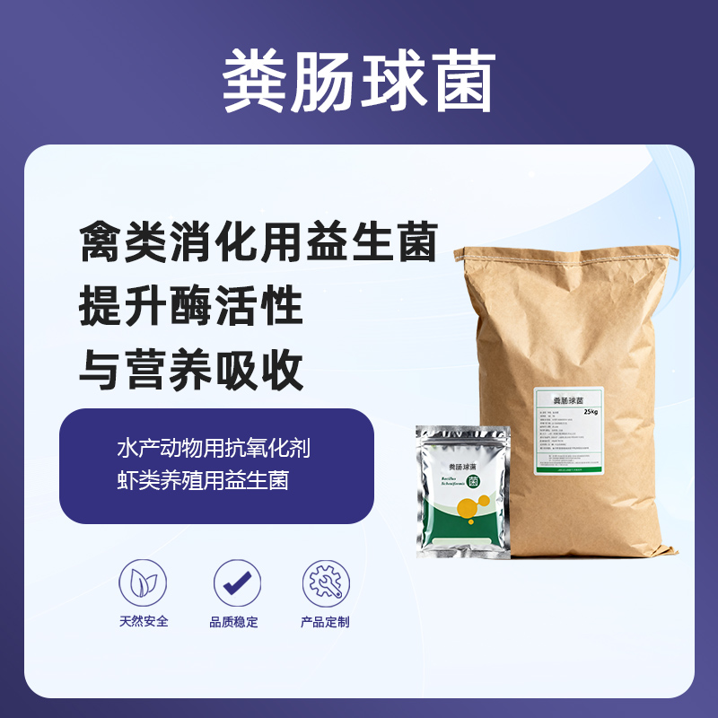 畜禽|水产养殖业饲料生产商添加剂用益生菌:粪肠球菌(20亿CFU/克),提升酶活性与营养吸收