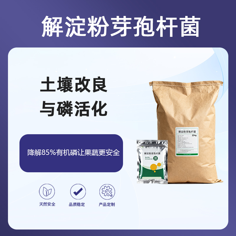 解淀粉芽孢杆菌农药残留终结者|几丁质酶破解土壤板结的微生物钥匙,土壤改良与磷活化|200亿活菌