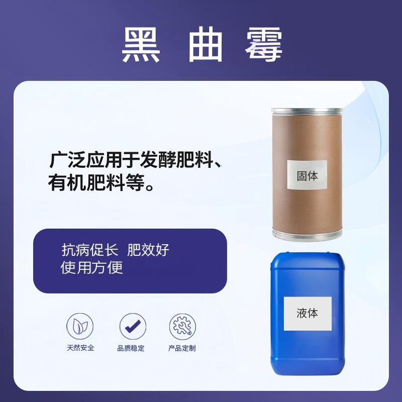 奕达酶 黑曲霉——解磷真菌,发酵肥料与有机肥料专用,产生草酸柠檬酸等多有机酸及植酸酶