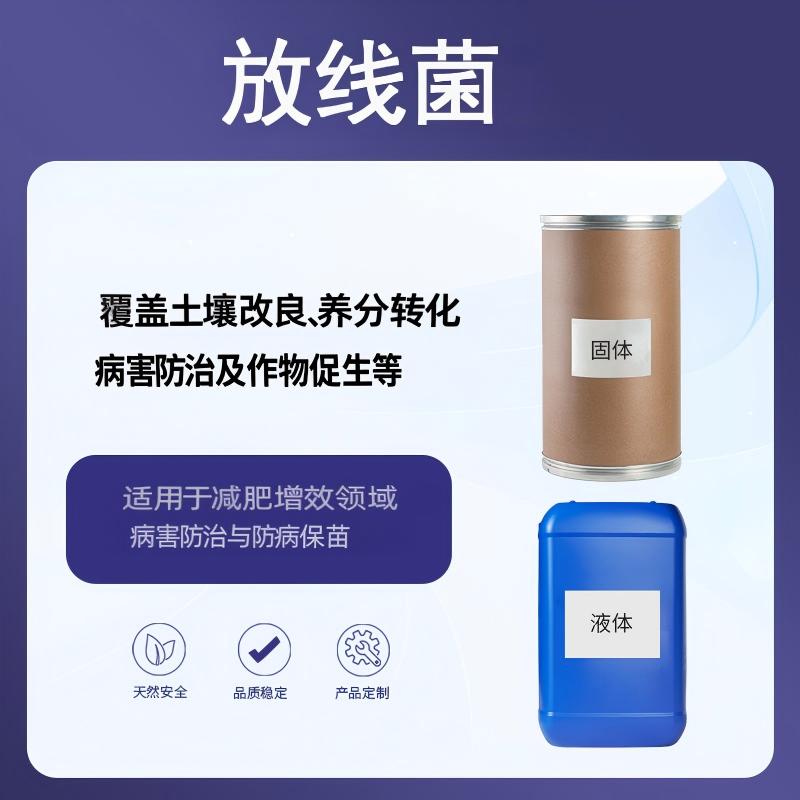 奕达酶 放线菌 转化土壤氮磷钾 抑制病菌 刺激细胞分裂 有益微生物定殖 细黄链霉菌 生物刺激素