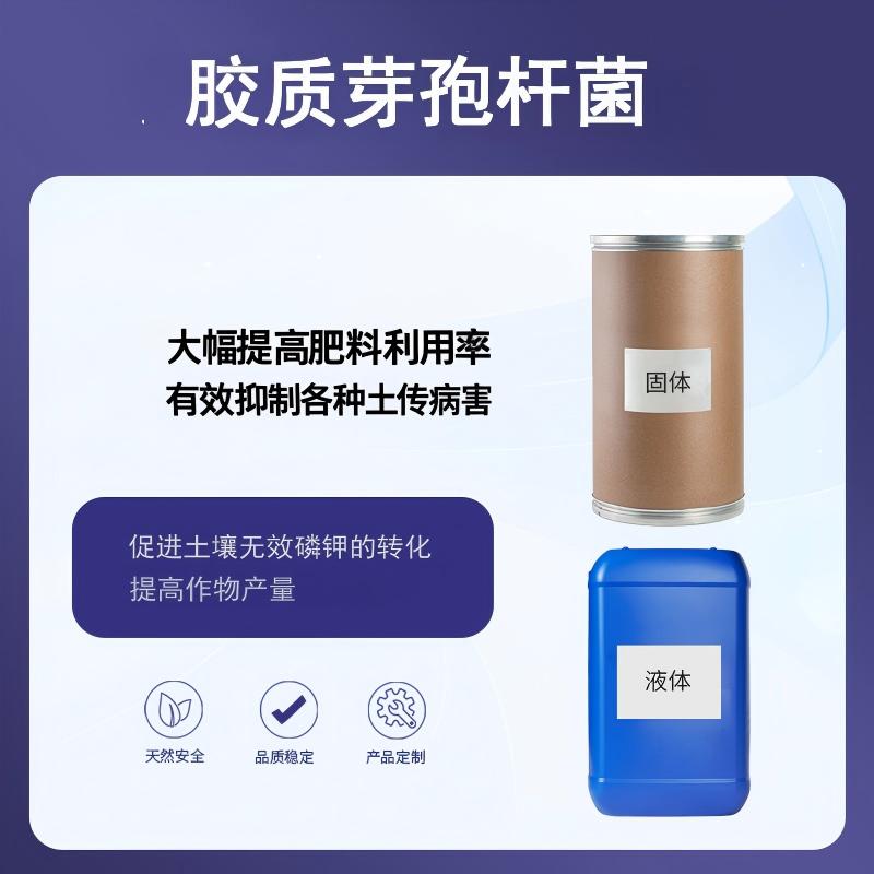 奕达酶 胶质芽孢杆菌 硅酸盐细菌 生物肥料 最好菌种之一 微生物菌肥核心菌种 土壤钾素活化剂