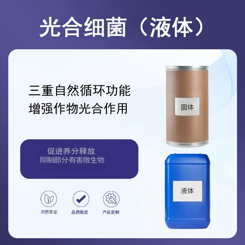 奕达酶 光合细菌(液体) 激活植物细胞 增强光合作用 固氮酶 固定分子氮 联合固氮 光能营养型原核生物菌剂